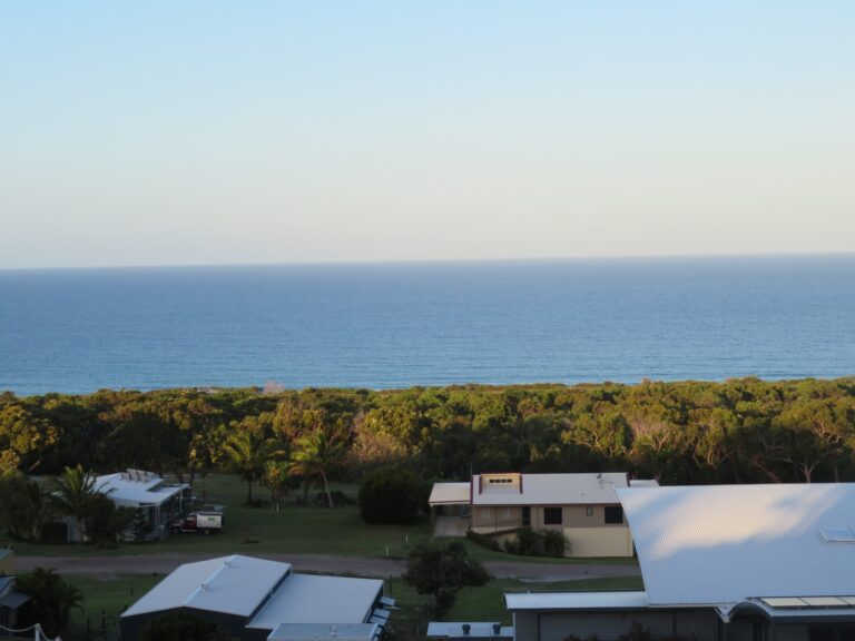 IMG-20250202-WA0002